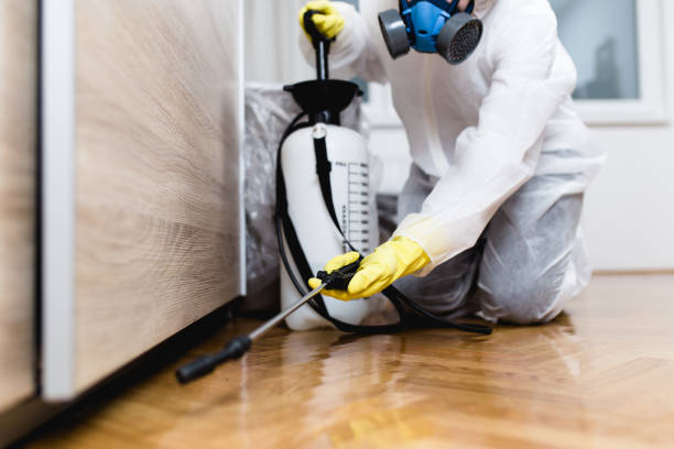 Best Best Pest Control Companies  in Bel Air North, MD