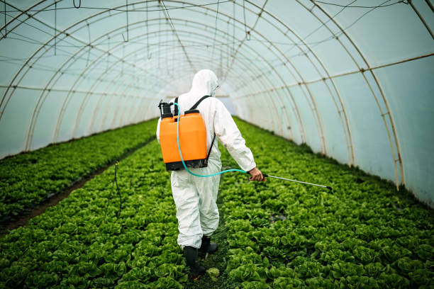 Best Affordable Pest Control Services  in Bel Air North, MD